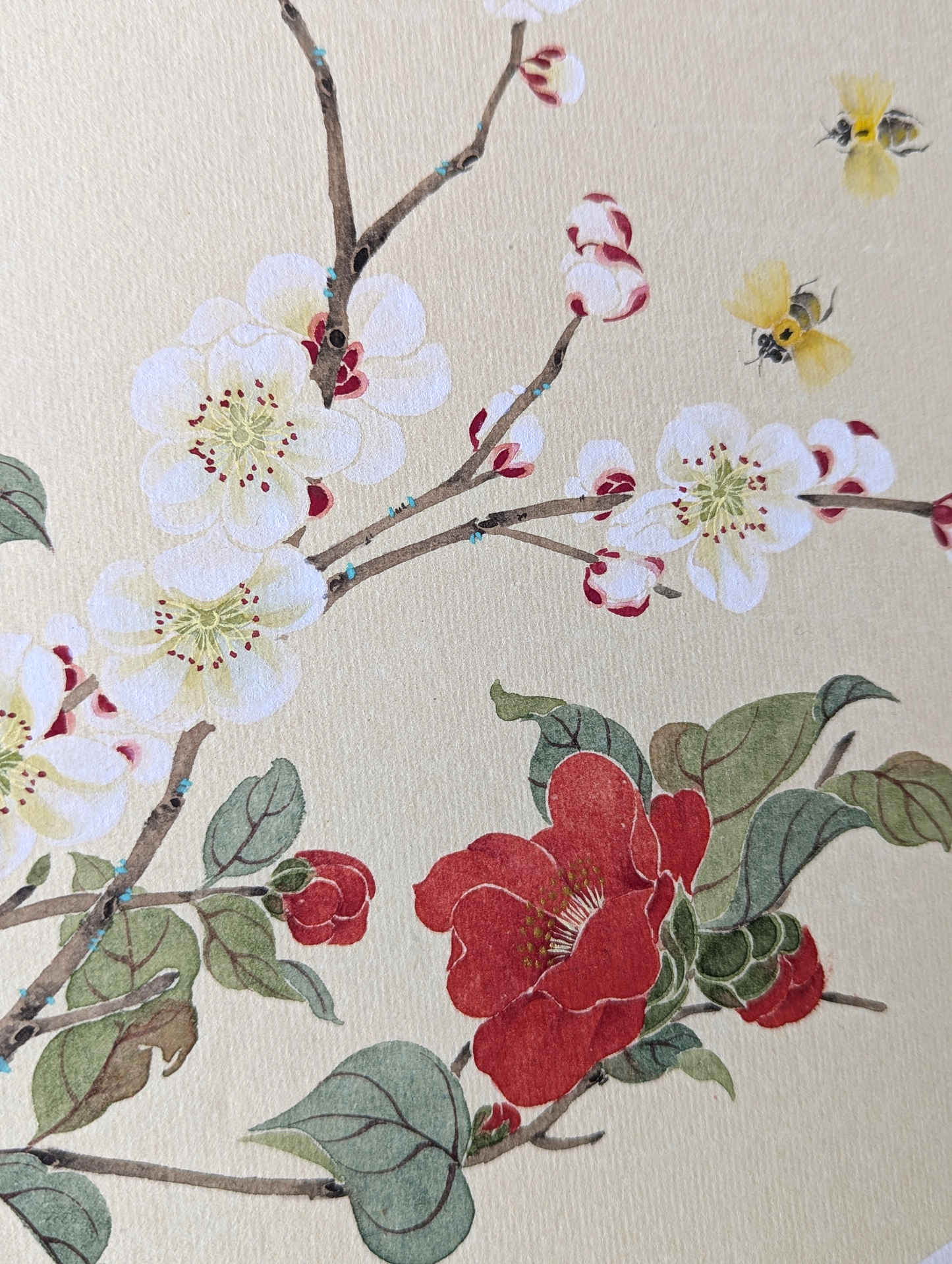 The Camelia and the Apricot Blossom