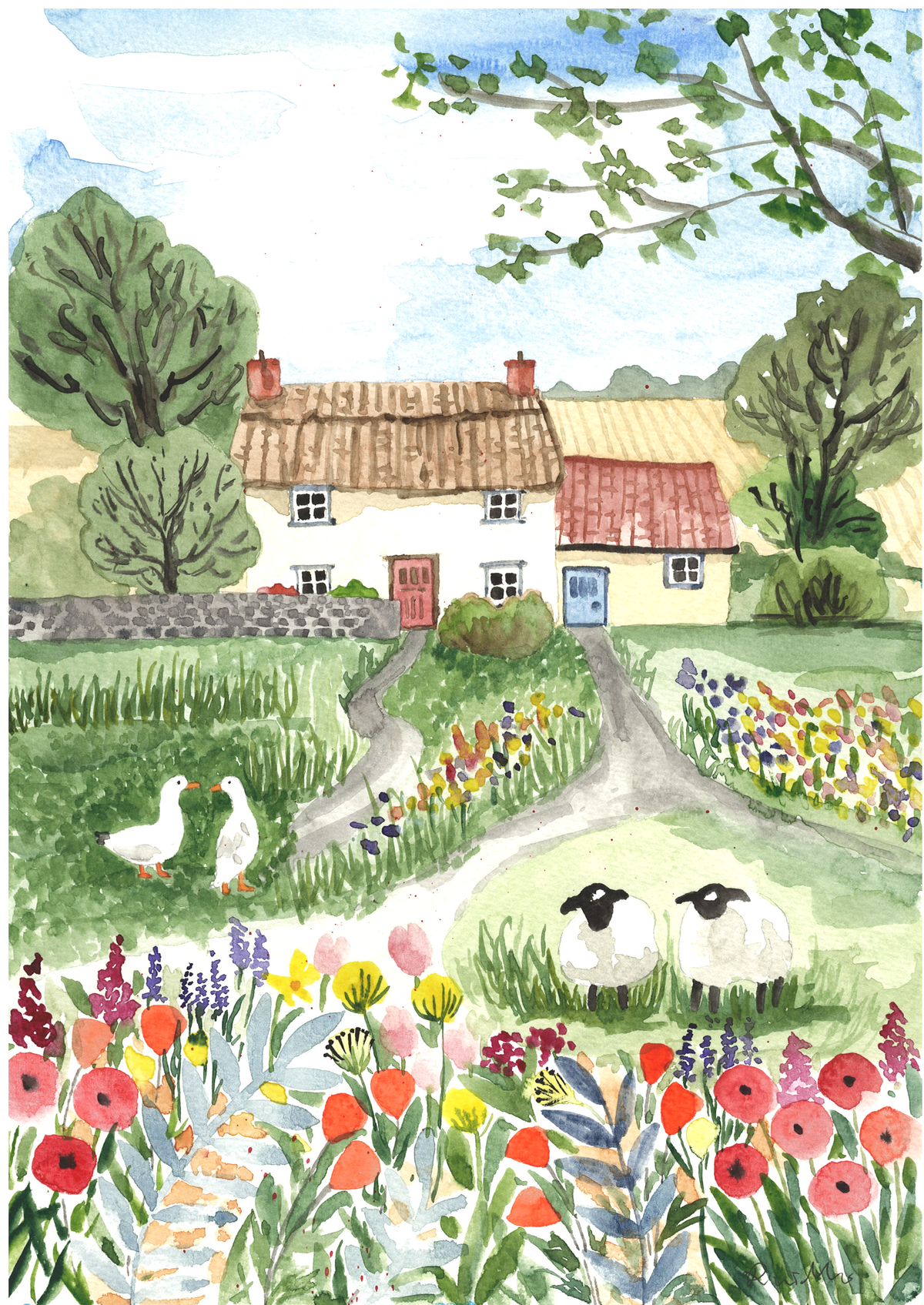 Summer cottages