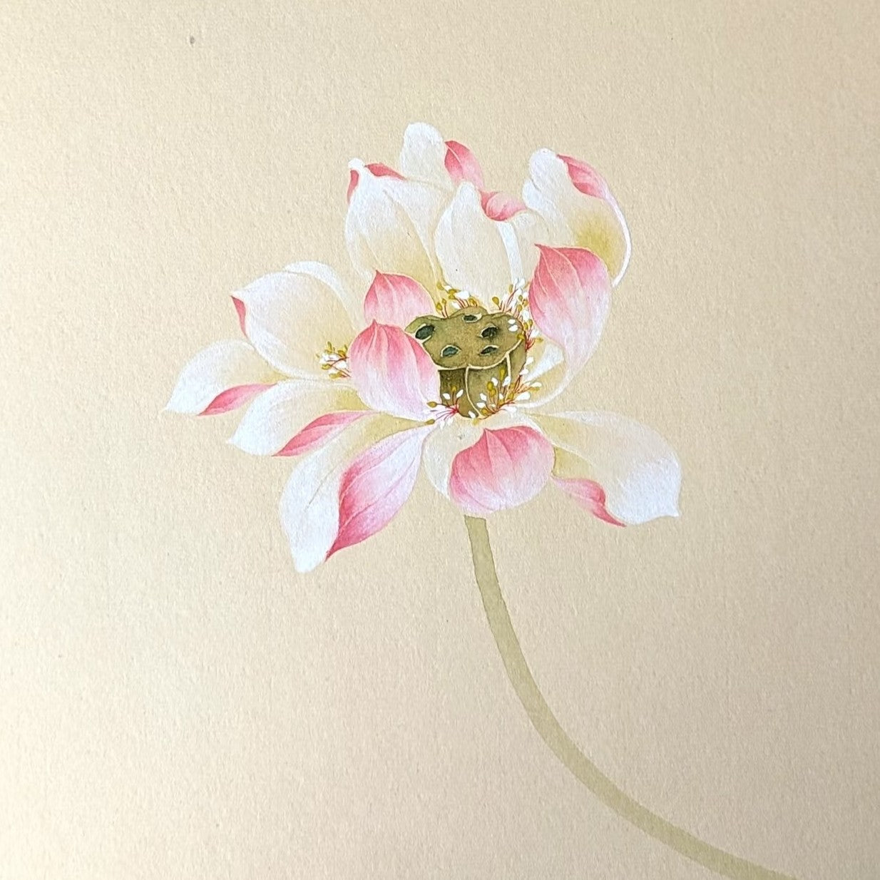 Sip&Paint Adult Painting Club-July Lotus Flowers with Chinese Brush Painting