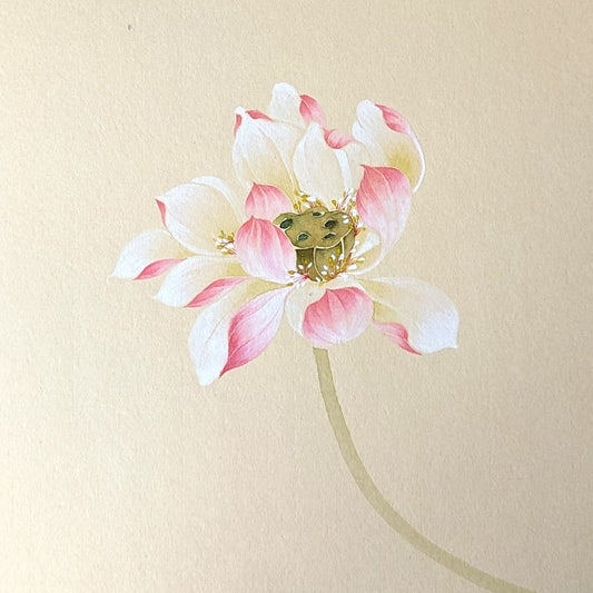 Sip&Paint Adult Painting Club-July Lotus Flowers with Chinese Brush Painting