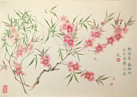 The Peach blossom and willows