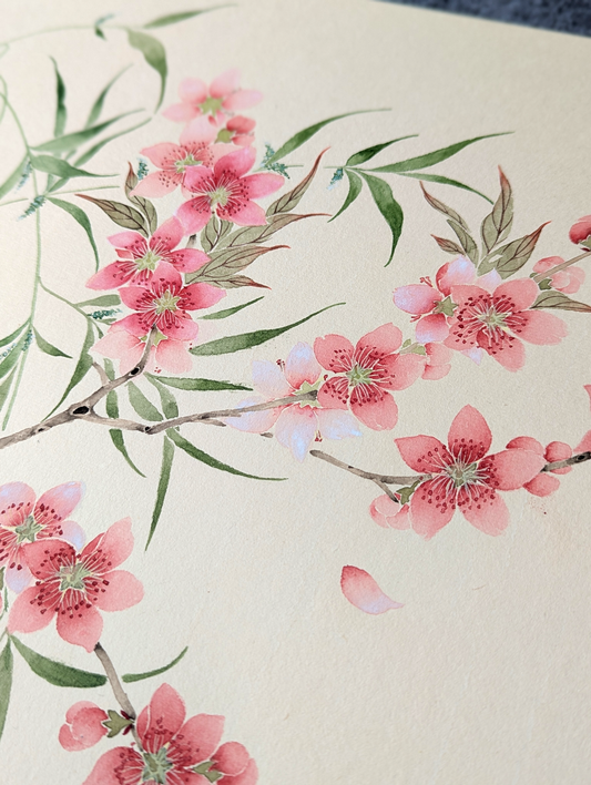 The Peach blossom and willows