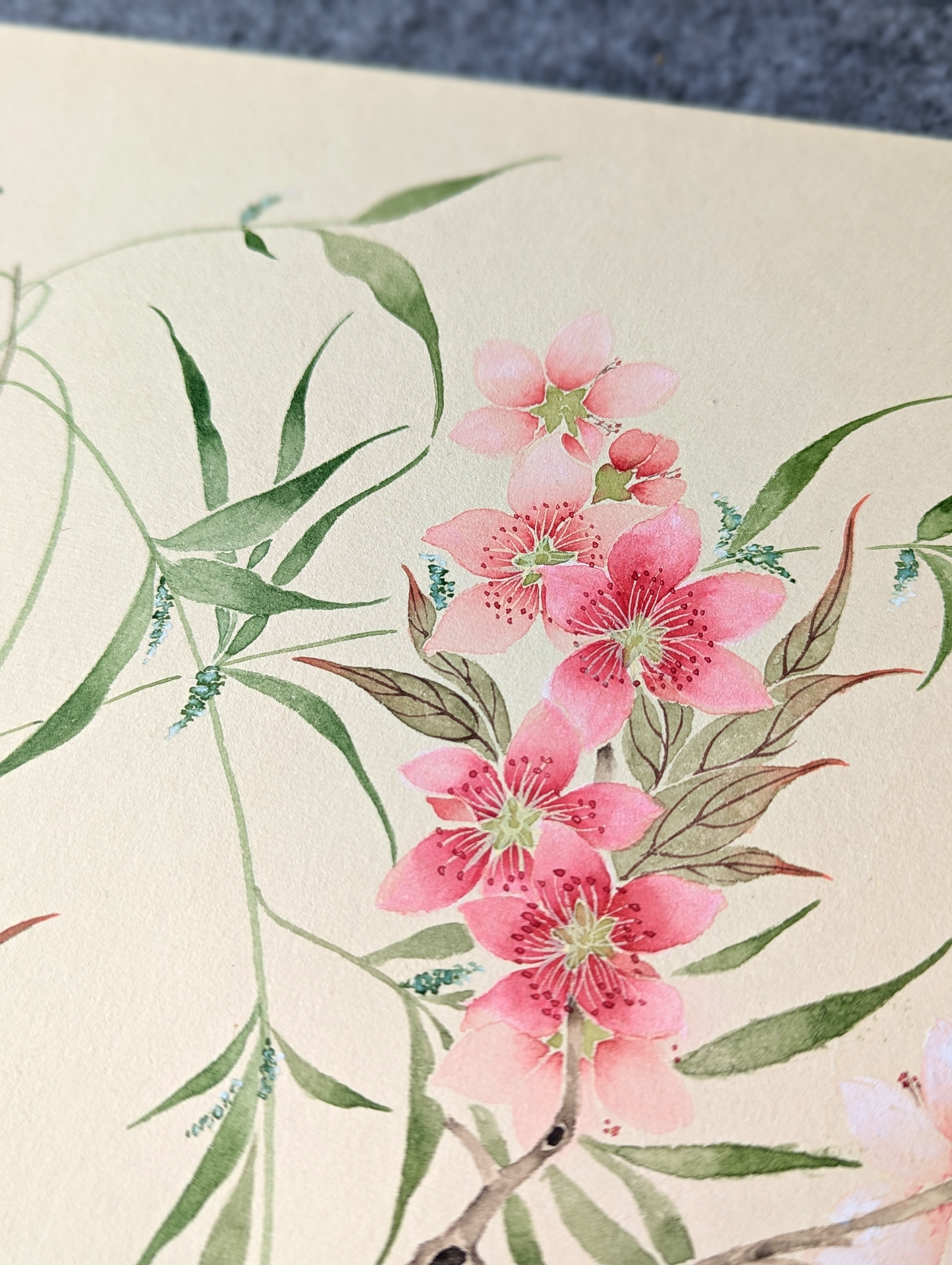 The Peach blossom and willows