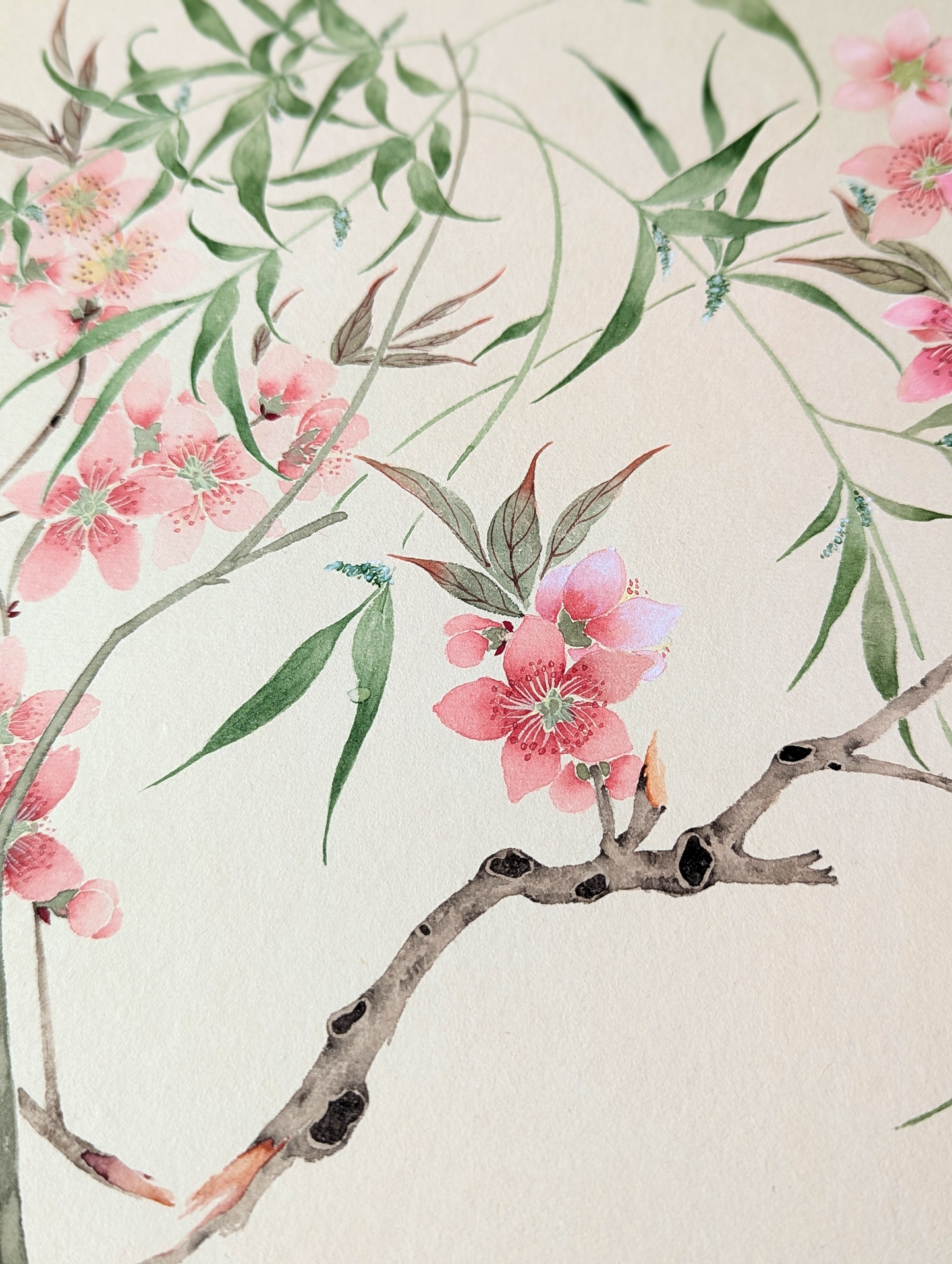 The Peach blossom and willows