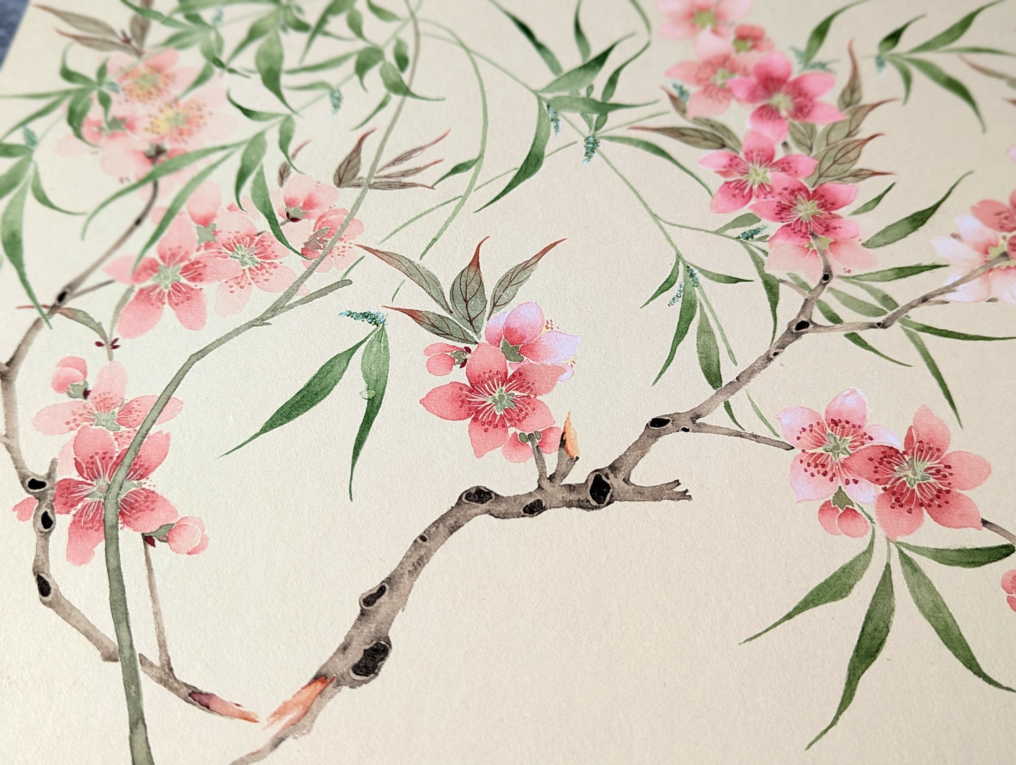 The Peach blossom and willows