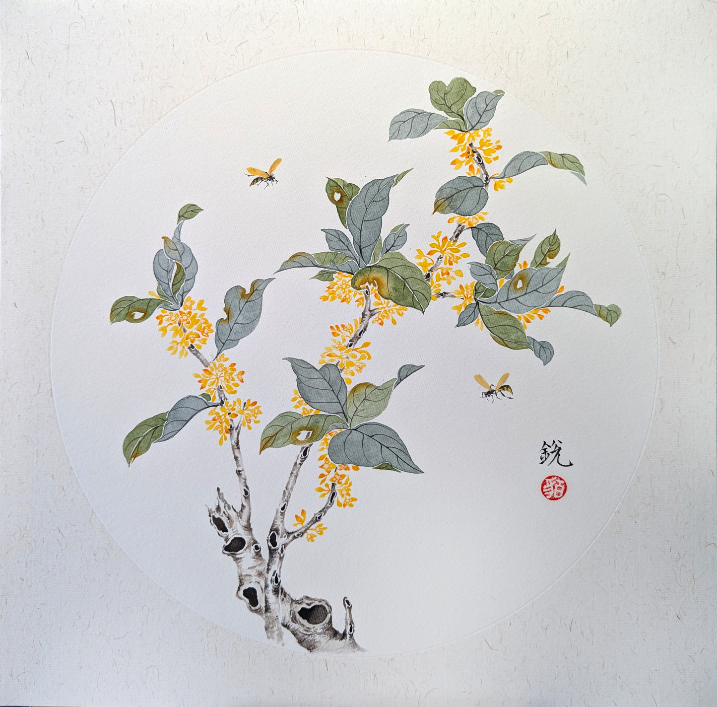 The Fragrant Osmanthus