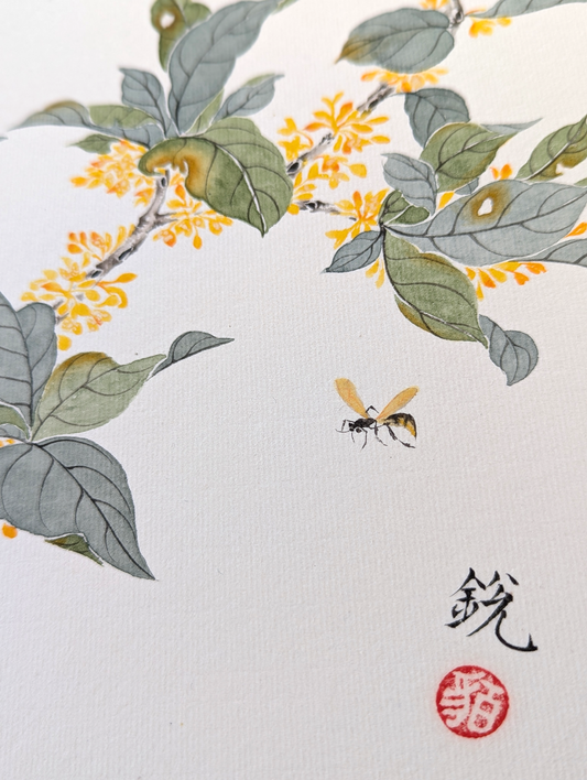 The Fragrant Osmanthus