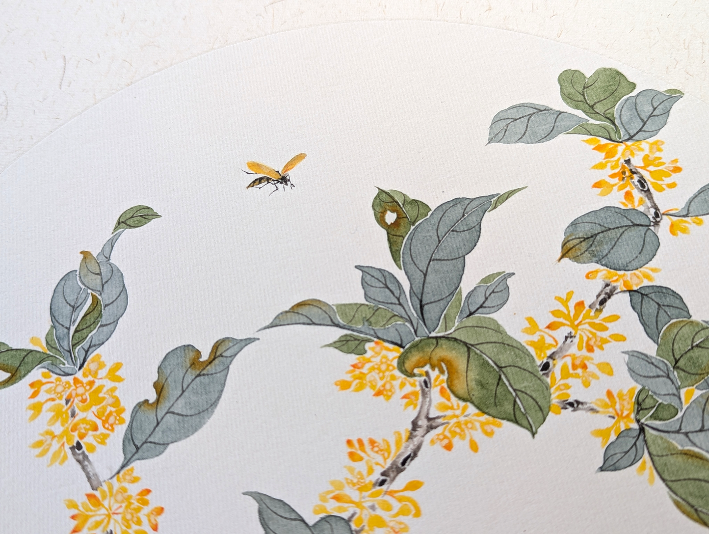 The Fragrant Osmanthus