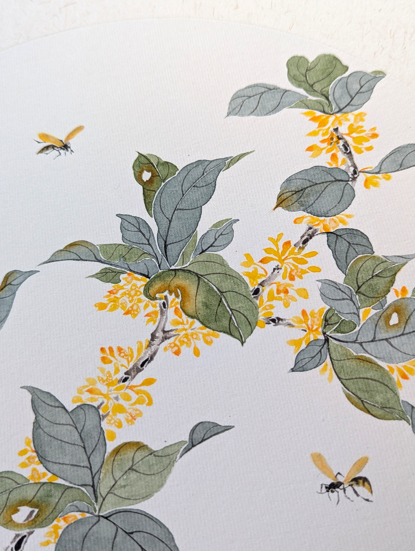 The Fragrant Osmanthus