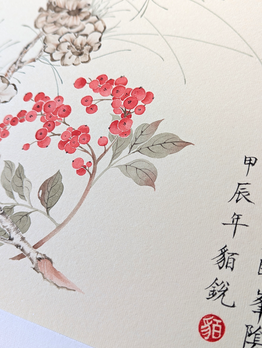 The Red Berries in the Winter Grove