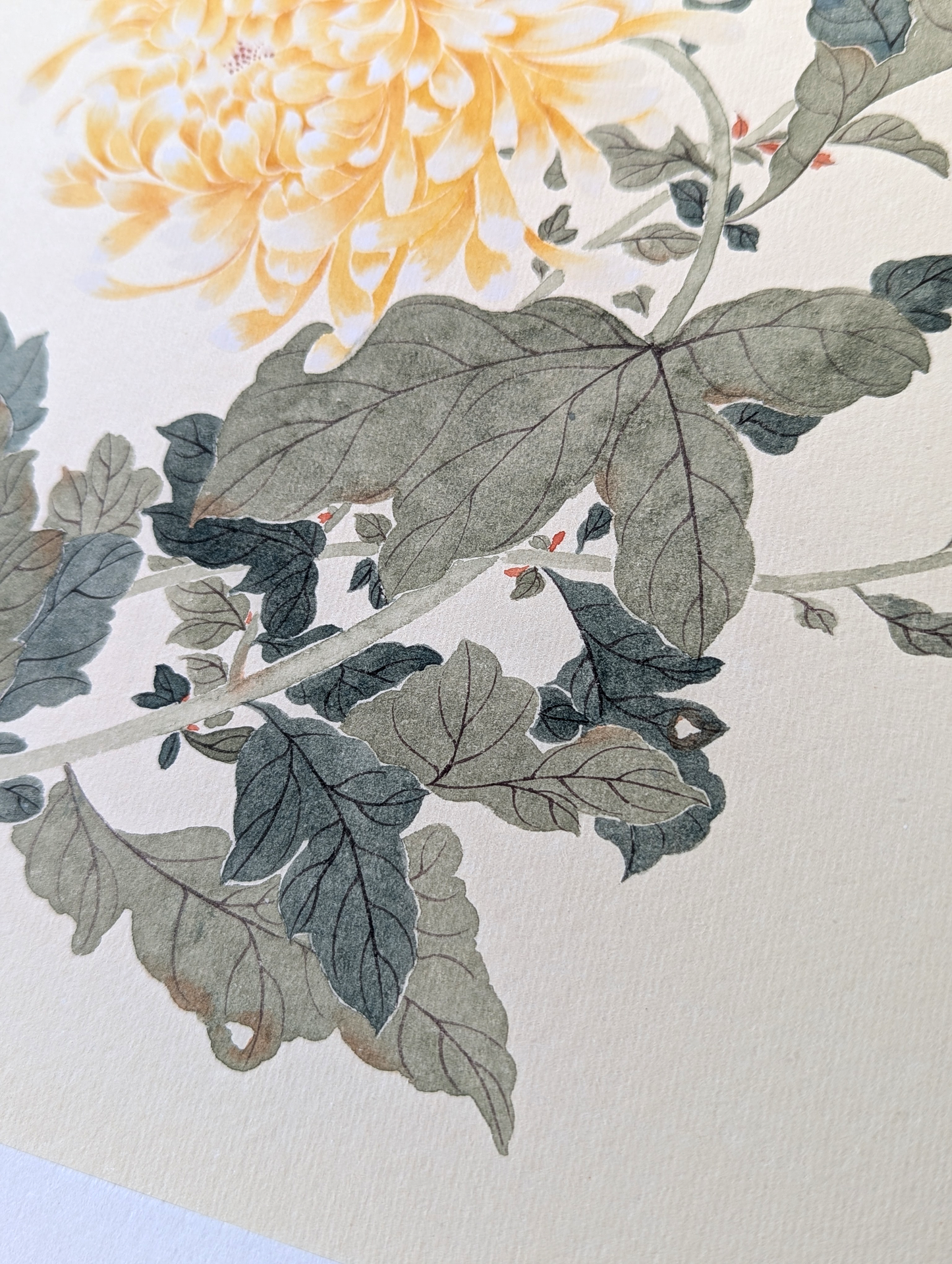 The Golden Chrysanthemum