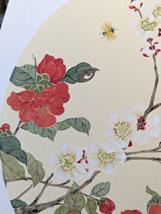 The Camelia and the Apricot Blossom