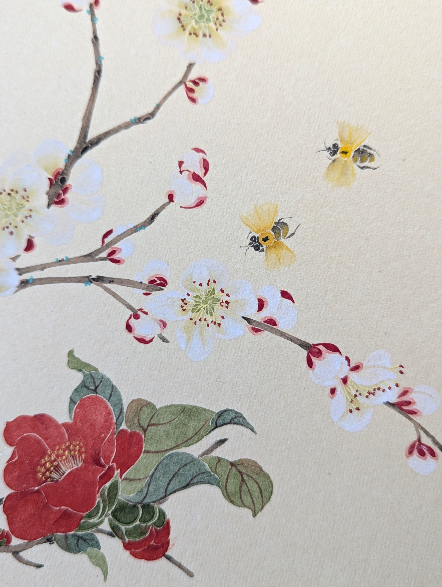 The Camelia and the Apricot Blossom