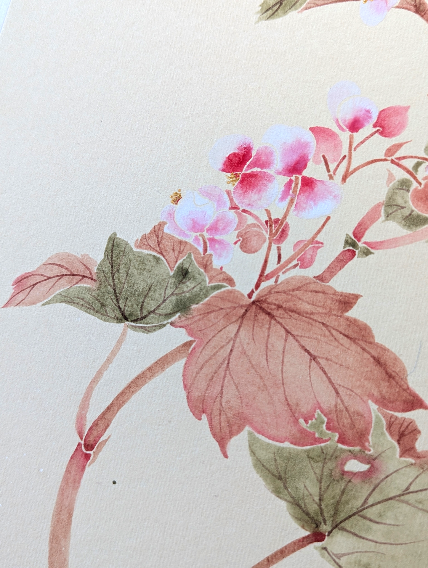 The Begonia