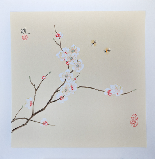 the Apricot Blossom