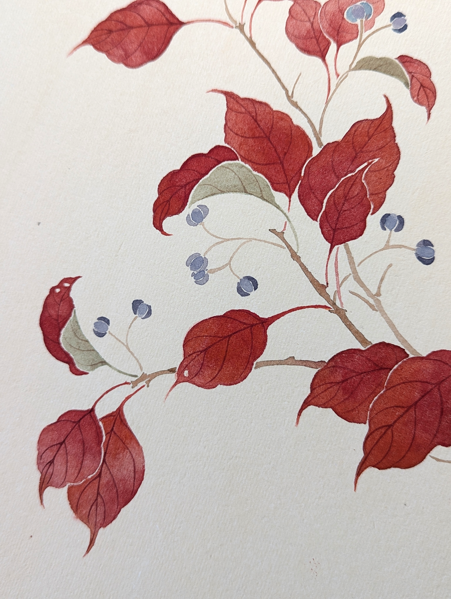 The Red Leaves-Tallow Tree