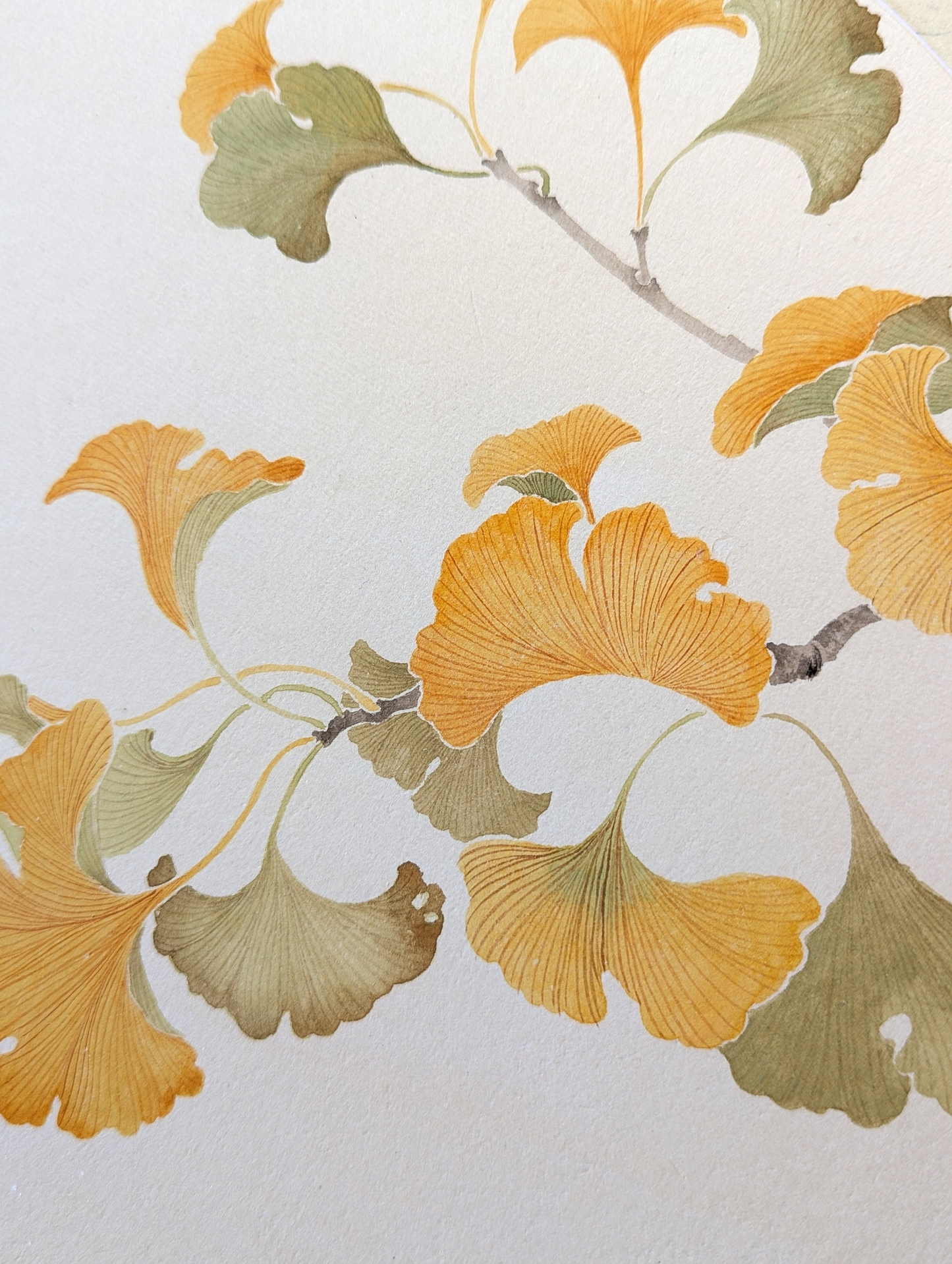 The Ginkgo