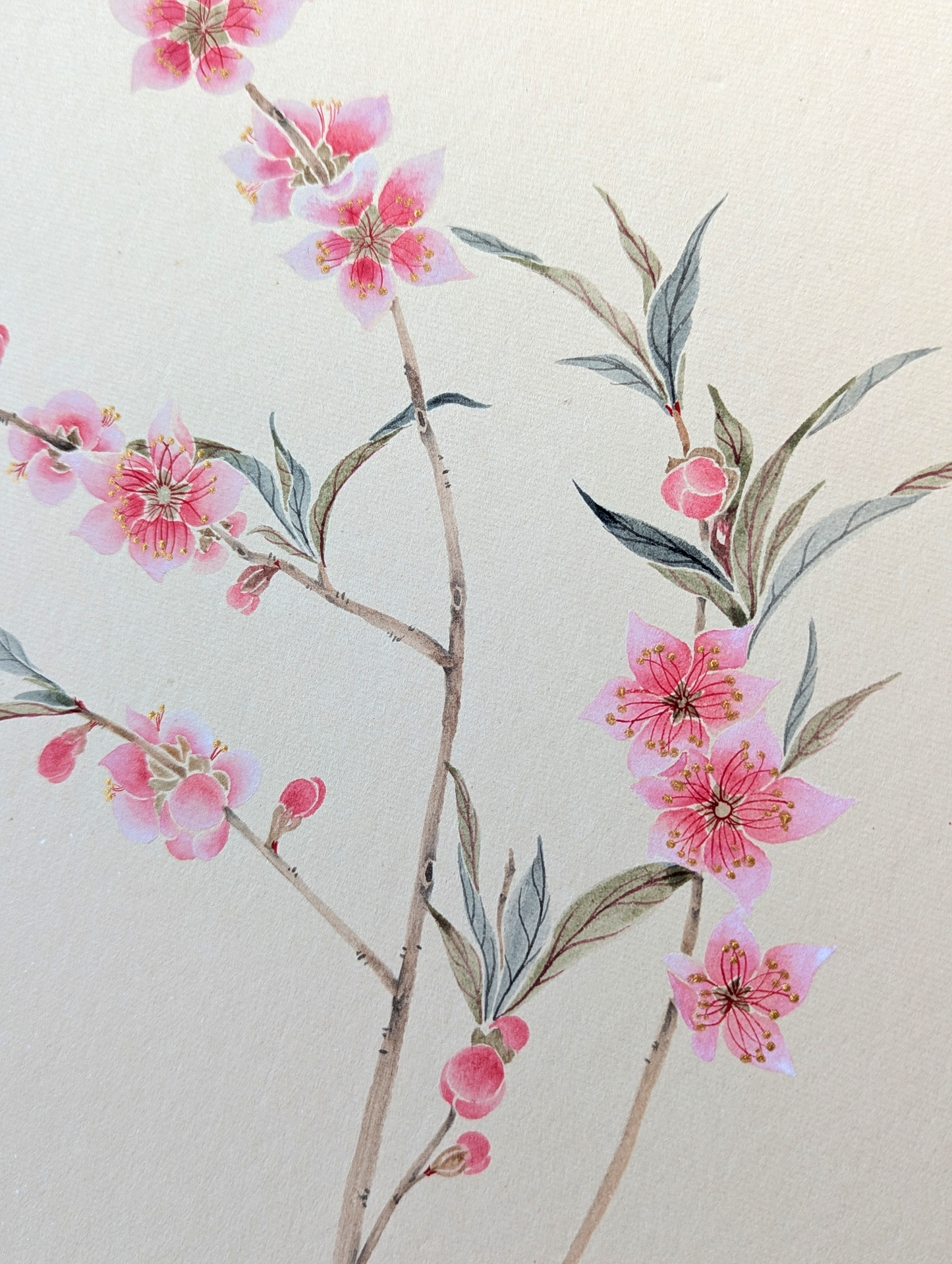 The Peach Blossom