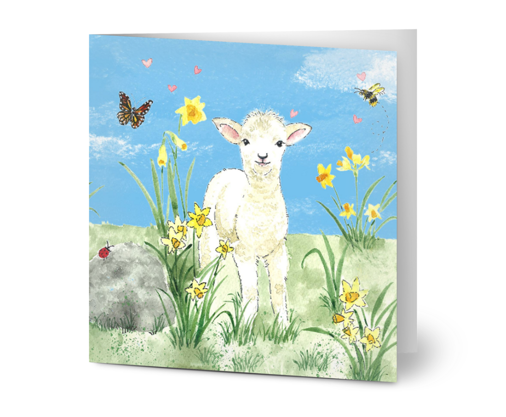 Spring Lamb and Daffodils Greeting Card, Blank Inside, All Occassion, with White Envelope